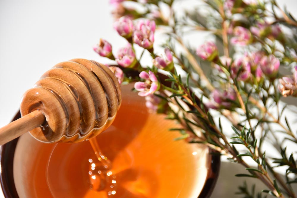 The benefits of manuka honey