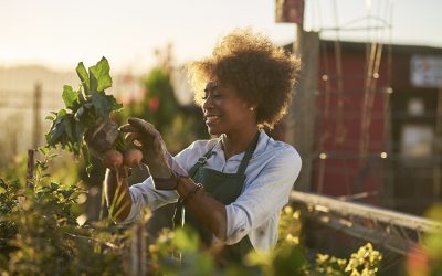 Green gardening