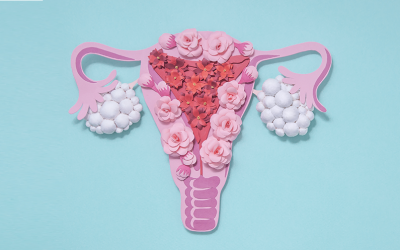 An education on PCOS